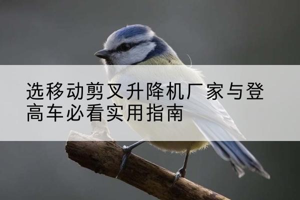 杜尔伯特电动升降机厂家-选移动剪叉升降机厂家与登高车必看实用指南