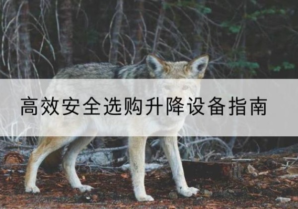 杜尔伯特升降货梯厂家推荐-*安全选购升降设备指南