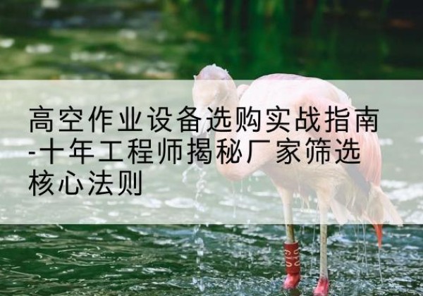 杜尔伯特剪叉式升降机厂家-高空作业设备选购实战指南-十年工程师揭秘厂家筛选核心法则
